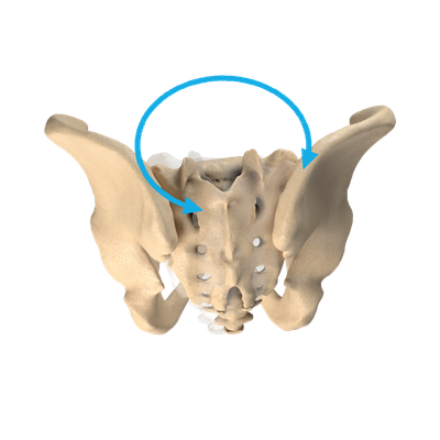 Pelvis viewed from behind with rotation about the vertical axis