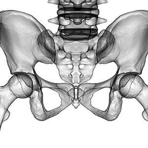 exploring-si-joint-anatomy-and-its-function