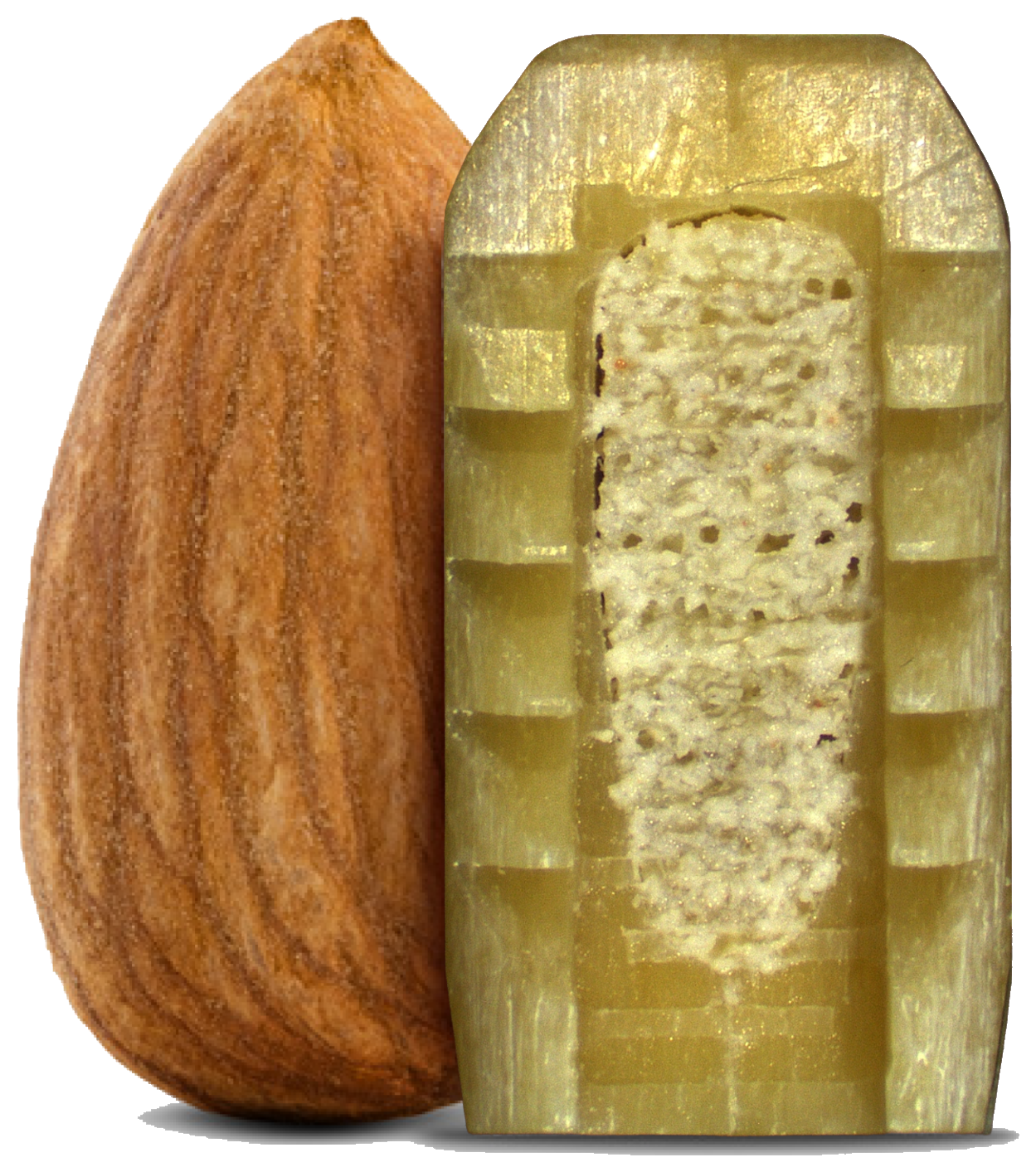 A PainTEQ bone implant photographed next to an almond — about the same size.